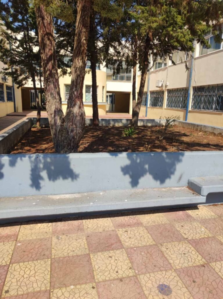 514279275_1371193825007665_4241061738619018680_n