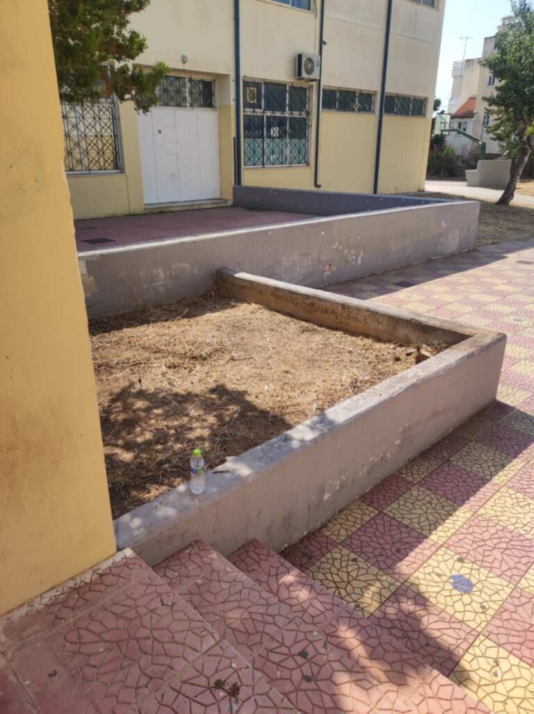 518131563_1371194138340967_9183875908948037583_n