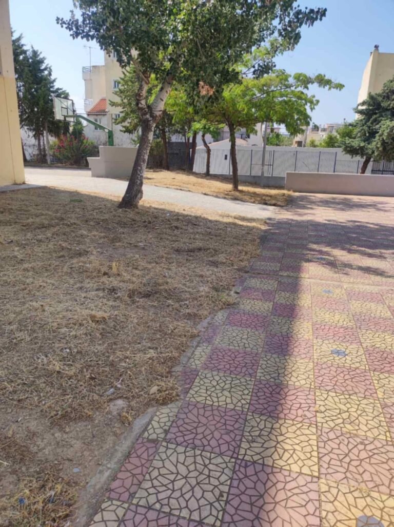 527523043_1371194235007624_2831481513910818420_n