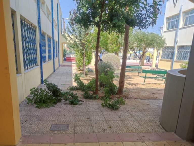 527811472_1371193878340993_6262691413718251739_n