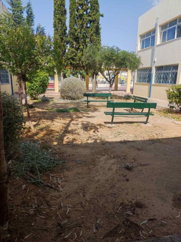 528745043_1371194158340965_3659212252473800426_n