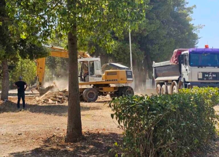 IMG-649f077aced797db41c195b9294c764f-V-1024x735