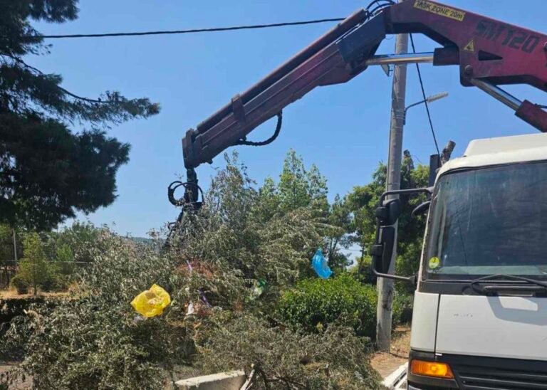 IMG-bdcb8ba12d365a396254ed79caf3415a-V-1024x731