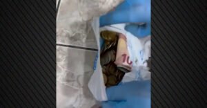 Έφοδος της ΕΛ.ΑΣ σε σπίτι στο Μενίδι για υπόθεση ναρκωτικών - Ρόπαλα και μετρητά εντόπισαν οι αστυνομικοί, δείτε βίντεο από την επιχείρηση