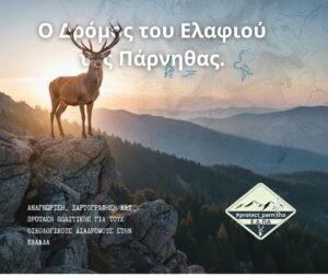 Ο δρόμος του ελαφιού της πάρνηθας