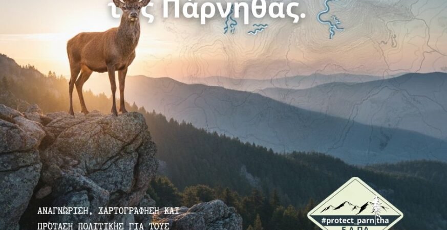 Ο δρόμος του ελαφιού της πάρνηθας