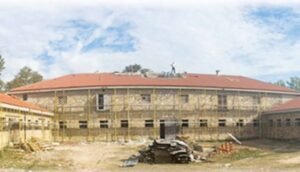 tatoi-xanagennietai-proin-vasilias-konstantinos-tatoi-vasilika-ktimata