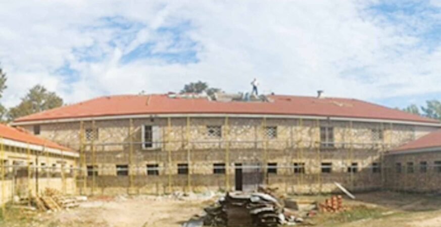 tatoi-xanagennietai-proin-vasilias-konstantinos-tatoi-vasilika-ktimata