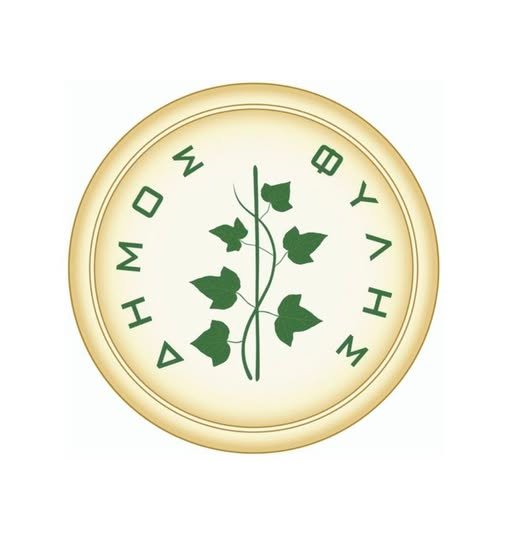 Οργή και αγανάκτηση στο Δήμο Φυλής και στην εκπαιδευτική κοινότητα για βανδαλισμό σε σχολείο