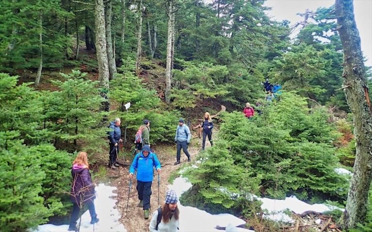 Άγιος Βαλεντίνος στην Πάρνηθα χωρίς ρομαντικά κλισέ