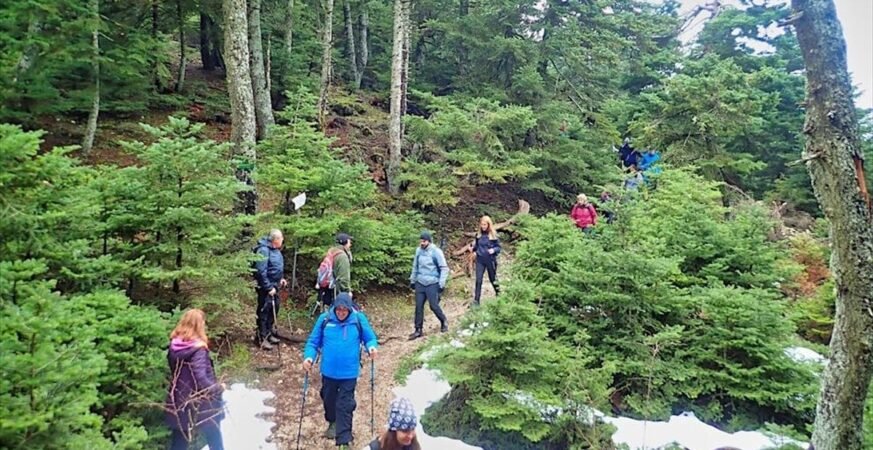 Άγιος Βαλεντίνος στην Πάρνηθα χωρίς ρομαντικά κλισέ