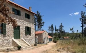 Τατόι: Τα πρώτα έργα αποκατάστασης ολοκληρώνονται το 2026 – Επιπτώσεις για την περιοχή των Αχαρνών