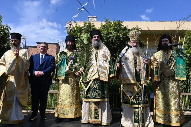 WhatsApp Image 2026-04-06 at 8.46