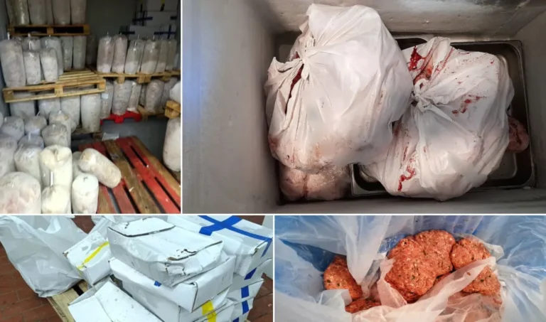 katashethikan-62-tonoi-akatallilon-kreaton-stin-attiki-louketo-se-paranomi-monada-sto-ilion-eikones-video__1_